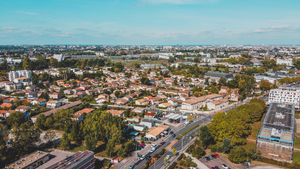 Enlèvement arbre urgence Sarcelles